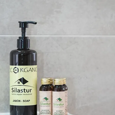 Covadonga Centro Apartamento