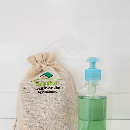 Apartamento Covadonga Centro Oviedo