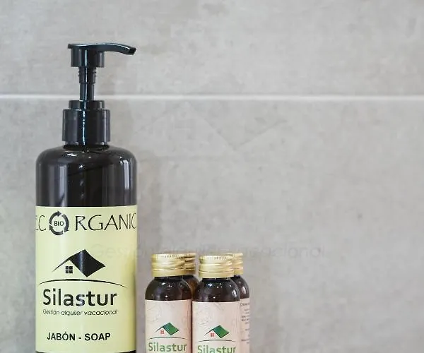 Covadonga Centro Apartament